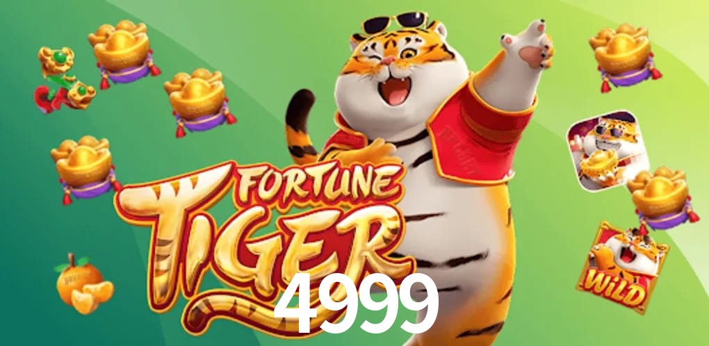 Experiência VIP 4999